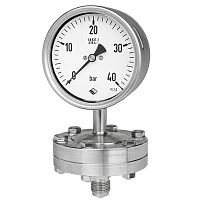 RSCh G 100-3vDW 25 bar + MDM7910vd8 PN60 1/2"NPT СИЛИКОН + разделитель УТ000014692