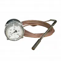 ТГП-100Эк-М (0...+300)°С-2,5-10-250-А 12Х18Н10Т УТ000019663