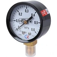 ТМ-210Р.00(0-0,6)МРа.M12x1,5.2,5.ГАЗ.(ч/к) УТ000018355