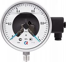 ТМ-621Р.05(0-6)MPa.М20х1,5.1,5 ЭКМ исп.V  СИЛИКОН УТ000014936